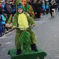 Jubiläumsumzug Schergässler